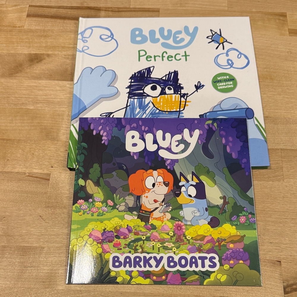 Adventure Books Set of 2 Bluey New